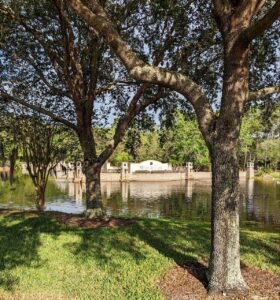 pond, garden, oak trees, wall, house, lake, nature